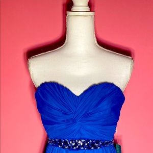 From my Closet to yours. Never Worn. Formal Dress.